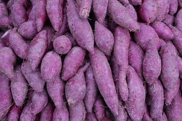 Organic sweet potato Ipomoea batatas.purple sweet potato in vegetable market.