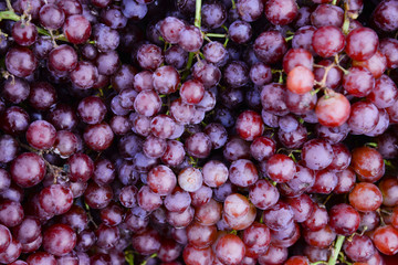 Soft focus group of fresh ripe red grapes in the market.Red wine grapes background.A lot of ripe grapes fruit for wine industry