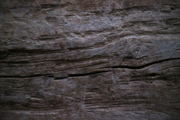 Dark wood texture background surface with old natural pattern