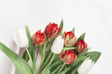 Bright red and white tulips in box on wooden table with copy space for your text or congratulations. Greeting card for spring time concept.