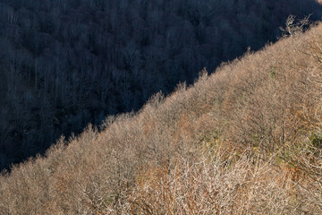 Contraste invernal de sol y sombra en una bosque y monta&ntilde;a
