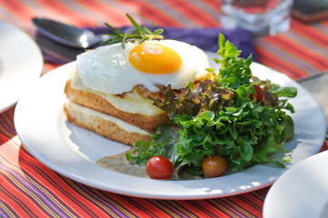 toast or cheese and egg sandwich