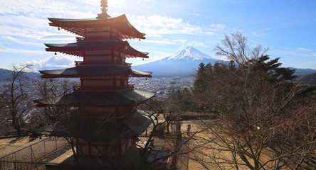 Fototapeta premium 【世界遺産】新倉山浅間公園から見る富士山