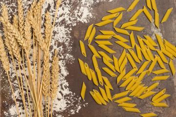 Raw pasta and sprigs of wheat on a metal surface. Organic food.