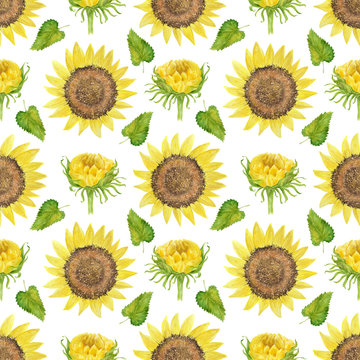Watercolor seamless pattern with bright sunflowers, leaves and buds of the plant