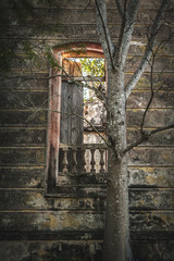 old wooden door with tree