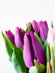 Naklejka premium Bouquet of purple tulips on a light background