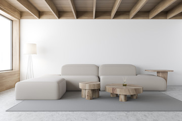 White Scandinavian style living room