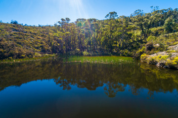 Natural pond to swim in Australia