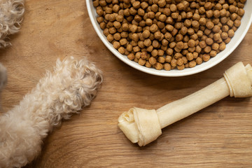 dog food and dog paw on wood table