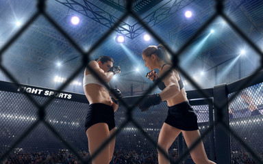 Fototapeta premium MMA female fighters on professional ring. 