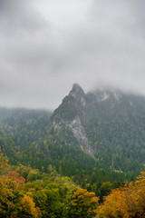 foggy landscape in the mountains