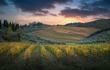 Sunset in Gaiole in Chianti with Chianti vineyards. Gaiole in Chianti, Tuscany, Italy.
