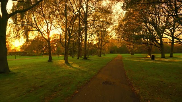 Drive or walk through a park during sunset or sunrise