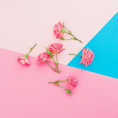 Colorful background with pink rose flowers. Flat lay. Top view