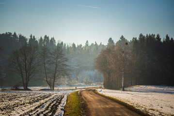 Rural landscape. Road through fields leading to forest in winter. Hazy frosty day background