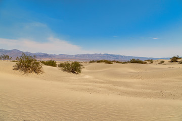 Fototapeta na wymiar Mesquite Flat Sand Dunes in California