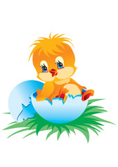 yellow chick just hatched from an egg and sits in half shell on green grass, vector illustration