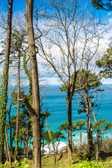 The magic of turquoise hues