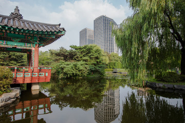 Seoul Yeouido Park in  South Korea.