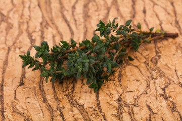 Green Thyme branch