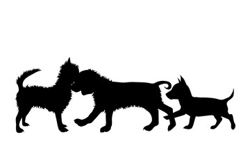 Vector silhouette of dog on white background. Symbol of group of pets who plays together.