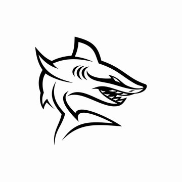 Shark vector logo modern simple