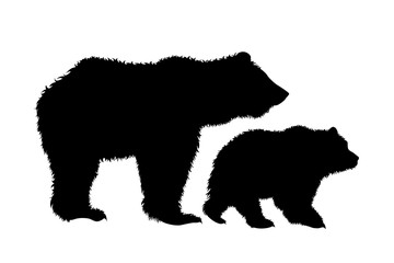 Vector silhouette of bear family on white background. Symbol of wild mother and baby stay together.