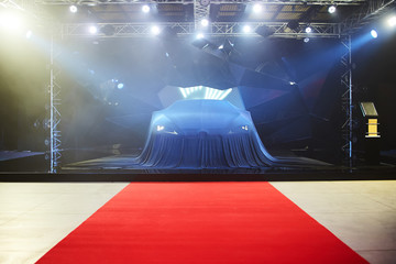 Close up of a new car hidden under cover.