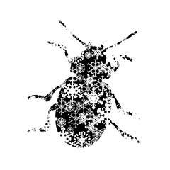 Obraz premium Vector silhouette of snowy beetle on white background. Symbol of insect in winter with snowflakes.