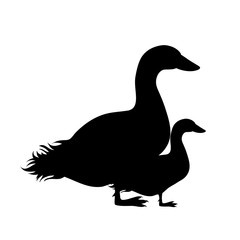 Vector silhouette of goose family on white background. Symbol of wild mother and baby stay together on the farm.