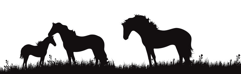 Vector silhouette of horse family on meadow on white bakground. Symbol of farm animals in the grass.