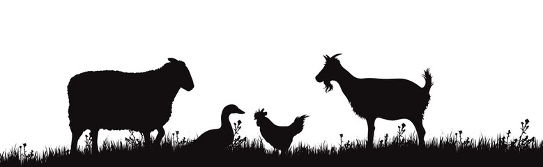 Vector silhouette of farm animals on white background. Symbol of garden pets together in the cattle.