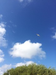 blue sky and white clouds