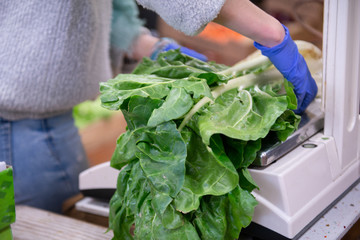 Vegetables and fruits from organic farming. Preparing an order of chard on a scale with unfocused background of different organic fruits and vegetables