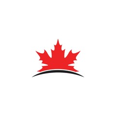 Maple leaf logo template vector icon illustration in flat