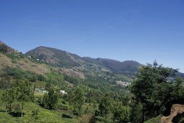 Fototapeta na wymiar view of mountain with green trees and blue sky
