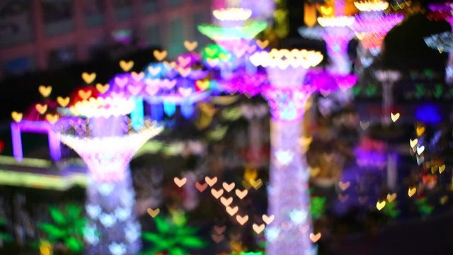 colorful lantern blur light heart on tree in valentine festival