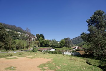 view of mountain with green trees and blue sky