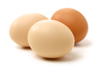 eggs on white background