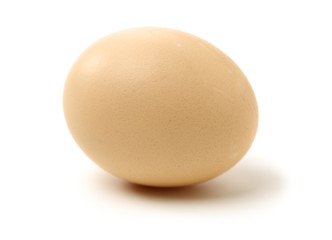 eggs on white background