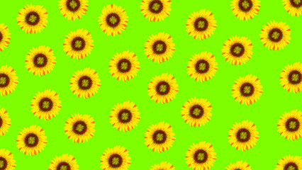 sunflower head pattern design 