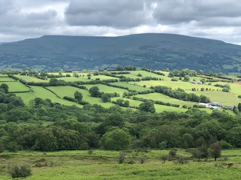 Sheep barns and drystone walls on green pasture land in Valley of the River Swale lined with trees near Gunnerside Yorkshire Dales National Park