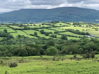 Obraz premium Sheep barns and drystone walls on green pasture land in Valley of the River Swale lined with trees near Gunnerside Yorkshire Dales National Park