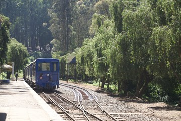 Naklejka premium Hill train with green trees and blue sky