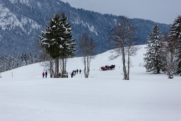 Strollers in the snow in Alps, Bavaria Germany