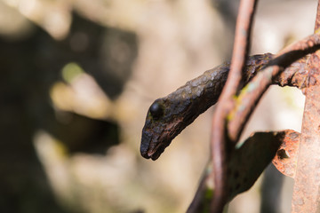 January 1, 2020. Xilitla, San Luis Potosí, Mexico. Panoramic view of the pools (Las Pozas), Architecture in a surreal garden located in the subtropical jungle of the Sierra Madre mountains.
