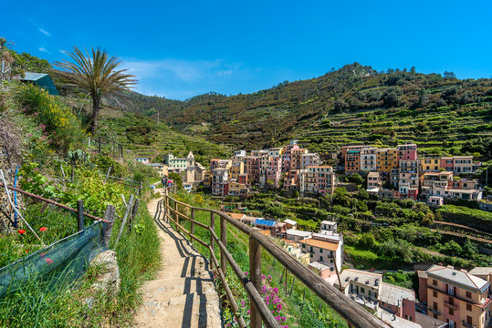 View at high land part of Manarola village from the Trail 6p pass. Cinque Terre National parc in the Northwest of Italy.