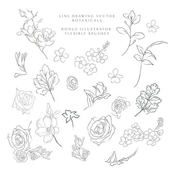 Collection of delicate line art vector hand drawn delicate botanicals, plants, flowers, branches, leaves, blossom. Pencil drawing illustration. Leaf logo. Magnolia, Forget me not, petals