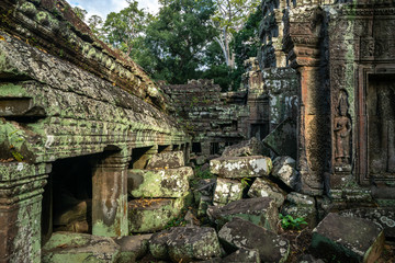 Fototapeta premium Ta Prohm Temple Siem Reap Cambodia
